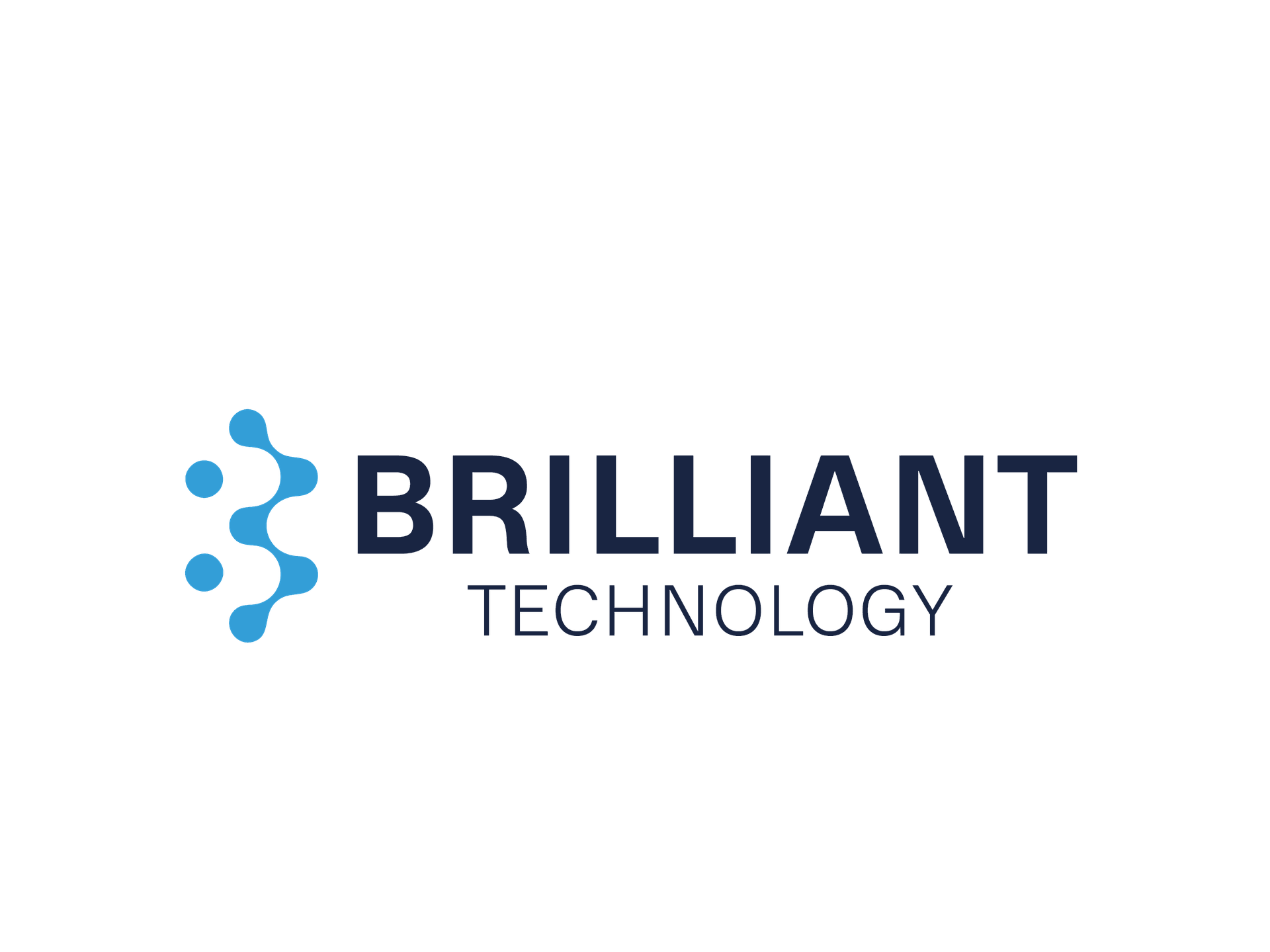  brillianttechnology-eg.com